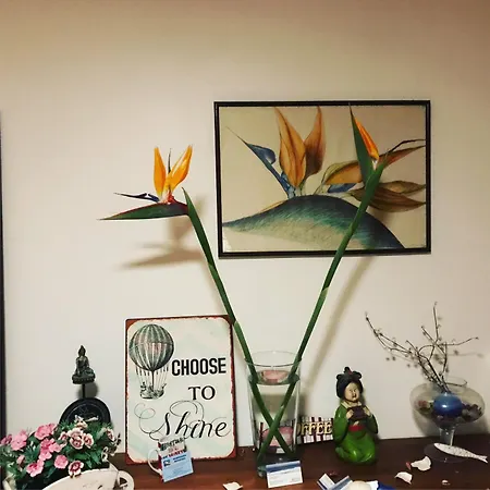 Casa Do Sul
